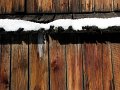 IMG_4477-2