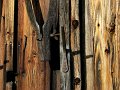 IMG_4482-2