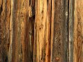 IMG_4484-2