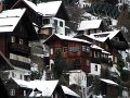 IMG_4539-2