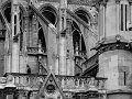 IMG_8918-2