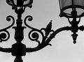 IMG_9093-2