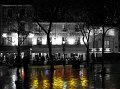IMG_9255-3
