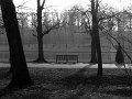 IMG_9646-2