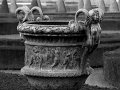 IMG_9574-2
