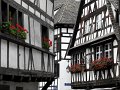 IMG_8218-2