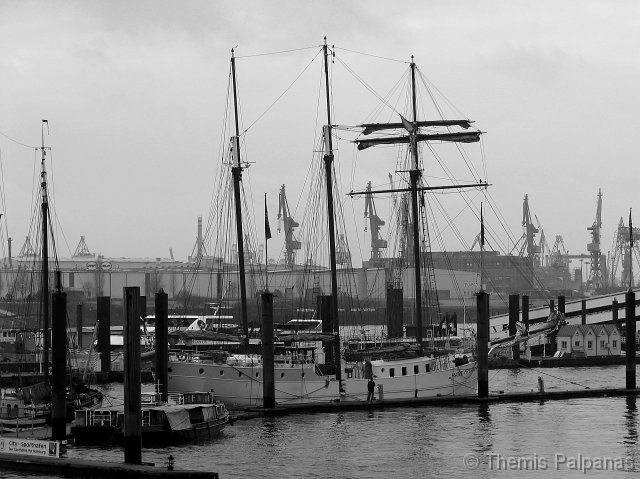 IMG_0355-2.jpg