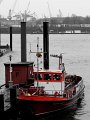 IMG_0354-2