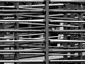 IMG_0372-2