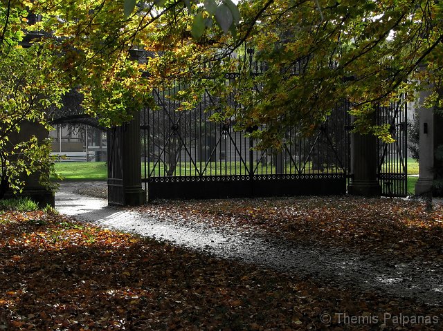 IMG_8329-2.jpg