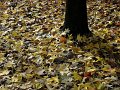IMG_8308-3