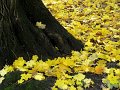 IMG_8321-2
