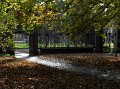 IMG_8329-2