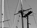 IMG_2244-2