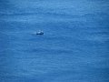 IMG_2380-2