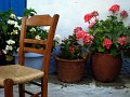 IMG_2706-2