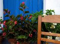 IMG_2708-2