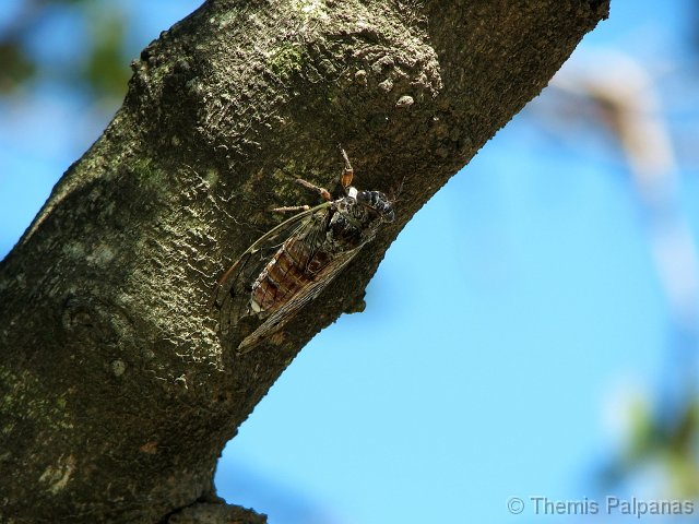 IMG_2203-2.jpg