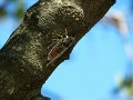 IMG_2203-2