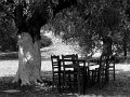 IMG_2574-3