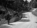 IMG_2896-2