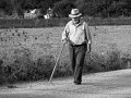 IMG_2956-2