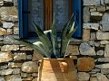 IMG_2551-2