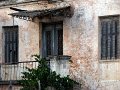 IMG_2962-2