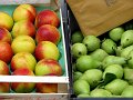IMG_3047-2