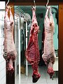 IMG_1062-2