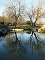IMG_1220-2
