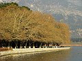 IMG_1236-2