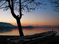 IMG_1288-2