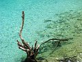IMG_0788-2
