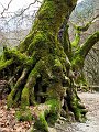 IMG_0796-2