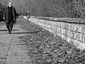 IMG_0654-2