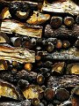 IMG_0873-2