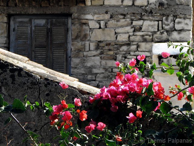IMG_7273-2.jpg