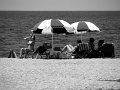 IMG_7536-2