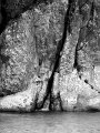 IMG_7402-2