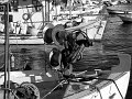 IMG_2246-2