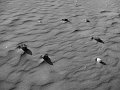 IMG_2282-2