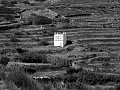 IMG_2265-2