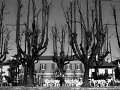 IMG_9914-2