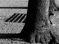 IMG_9935-3