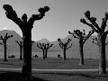 IMG_0488-2