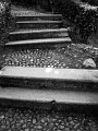 IMG_0478-2