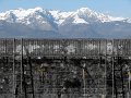 IMG_0485-2