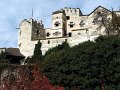 IMG_3306-2