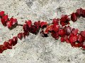 IMG_3309-2